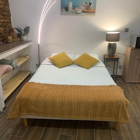 Studio 25M2 En Plein Coeur De 佩皮尼昂 外观 照片